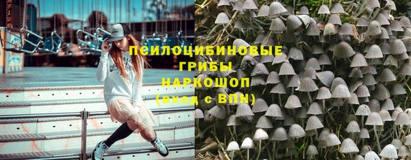 винт Уссурийск