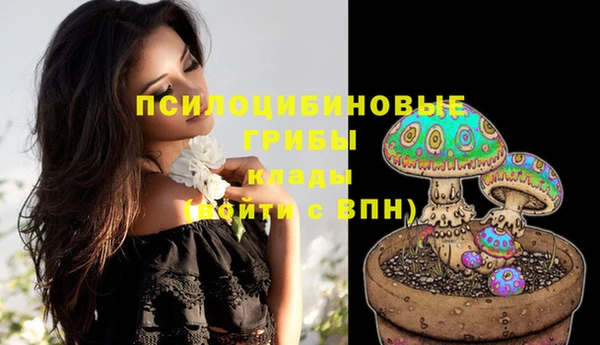 дживик Куйбышев