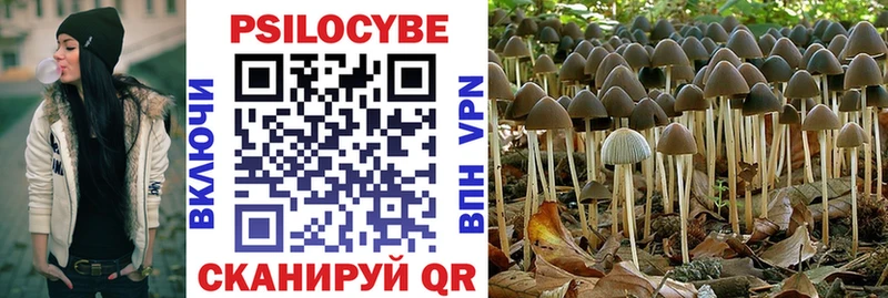 mega маркетплейс  Краснодар  Галлюциногенные грибы Cubensis 