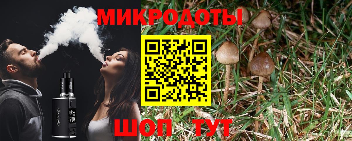 Краснодар  Псилоцибиновые грибы мицелий  Вход с VPN 