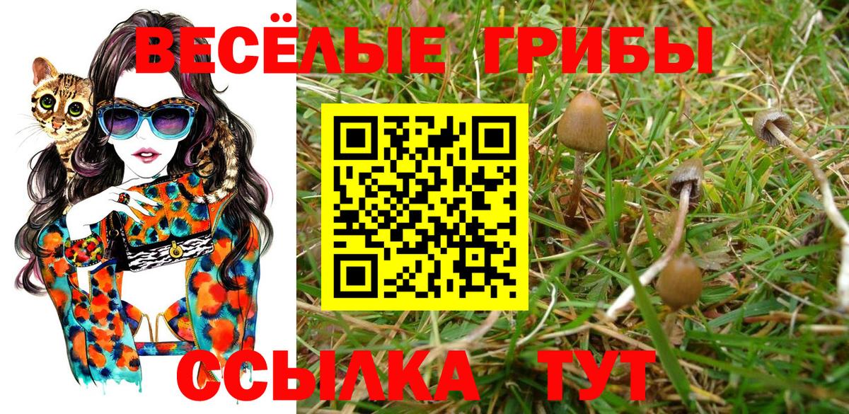 Галлюциногенные грибы GOLDEN TEACHER Краснодар